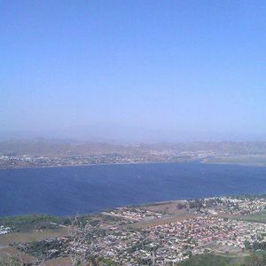 Meet your Posher, Augie